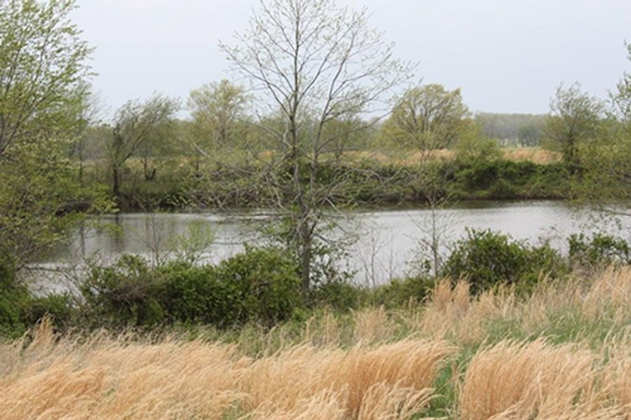 438 +/- Acres Offered in 10 Tracts - Metcalf Farms - 6PM CST